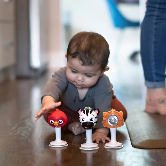 Baby Einstein Rattle & Jingle Trio - Take-Along Rattle Toy Set - 3 Pack