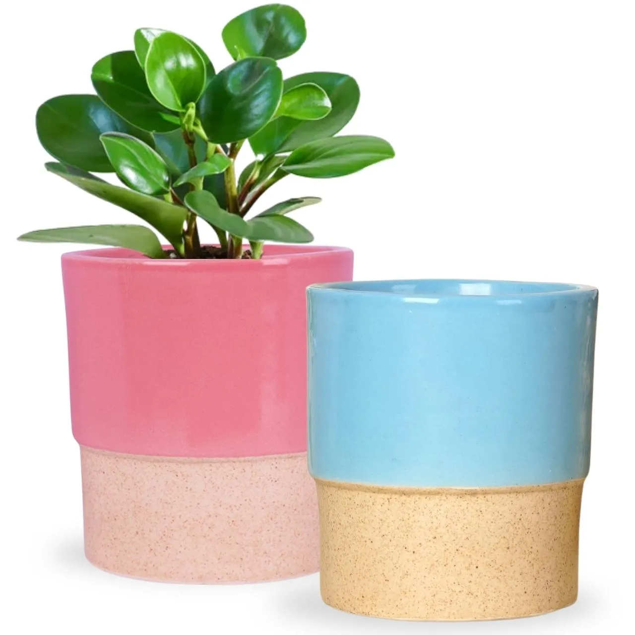 Ceramic Plant Pot