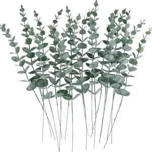 Eucalyptus Plant 24 Pack