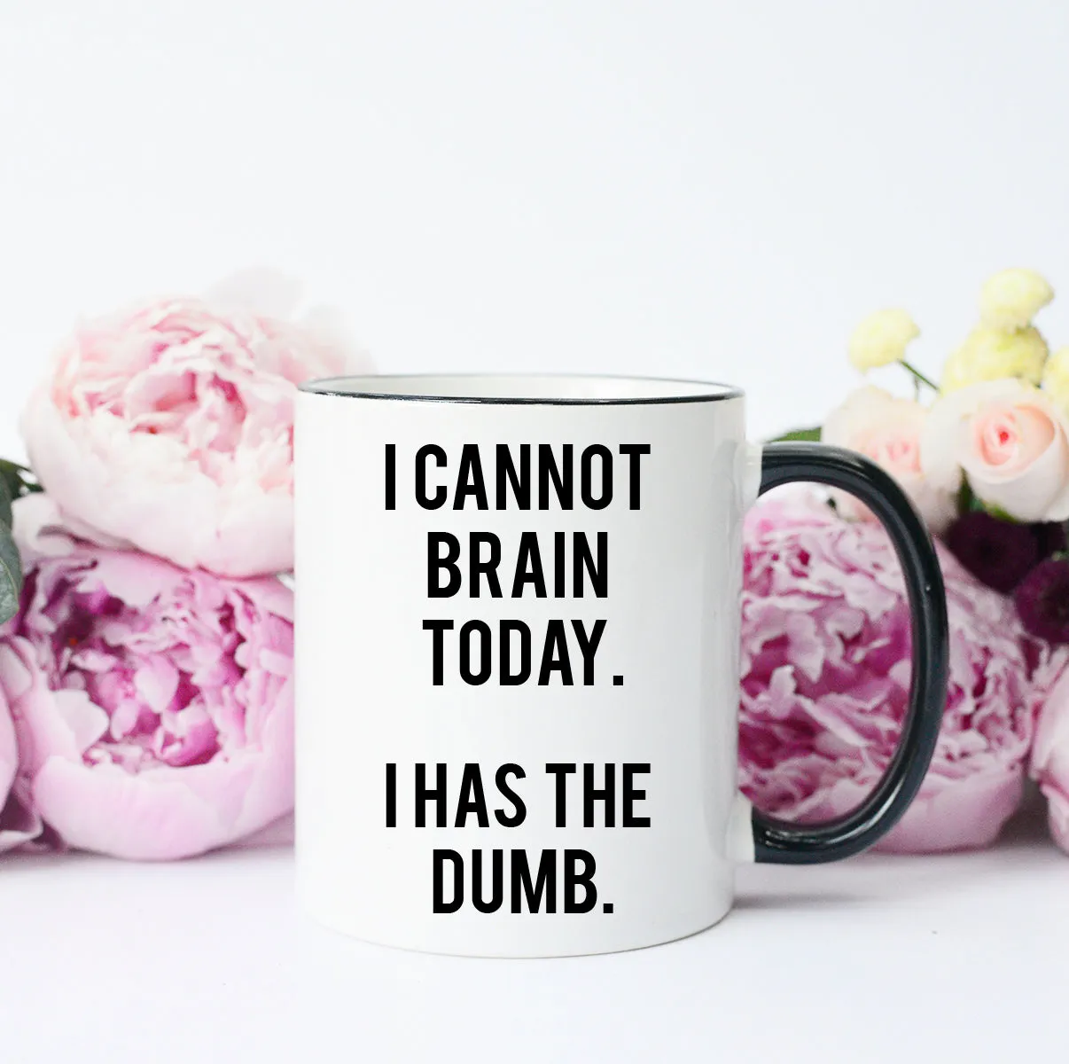 I cannot brain today Mug, I cannot Brain Today I Has the Dumb, Funny coffee mug