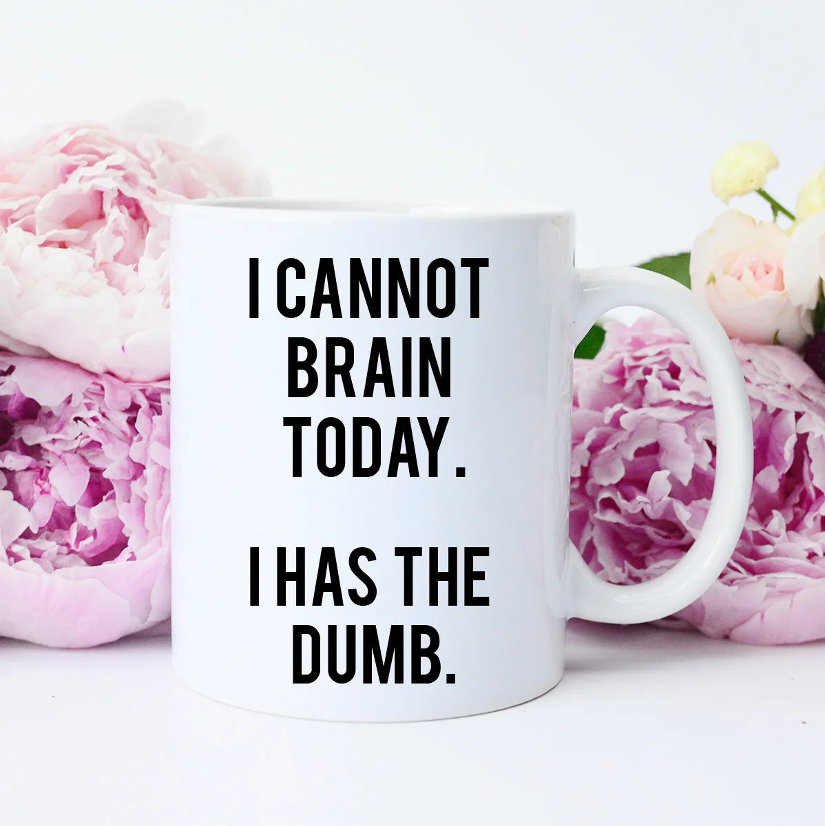 I cannot brain today Mug, I cannot Brain Today I Has the Dumb, Funny coffee mug