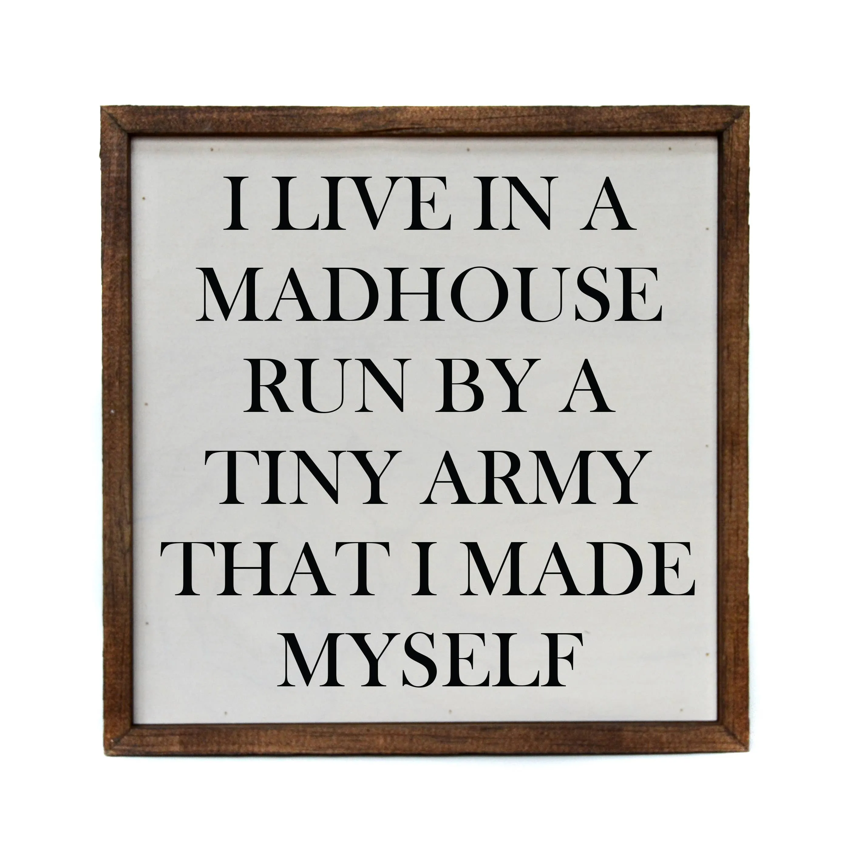 I Live In A Madhouse Run By A Tiny Army That I Made