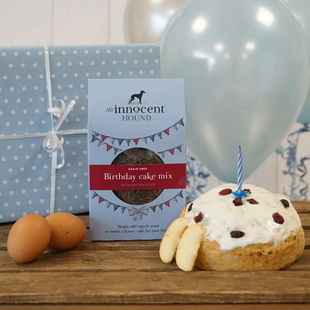 Innocent Hound Birthday Cake Mix for Dogs