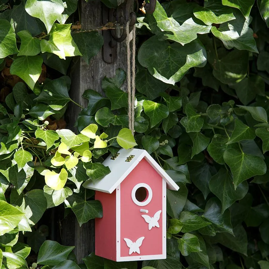 Kids Fun Bird Box Available in Blue and Pink