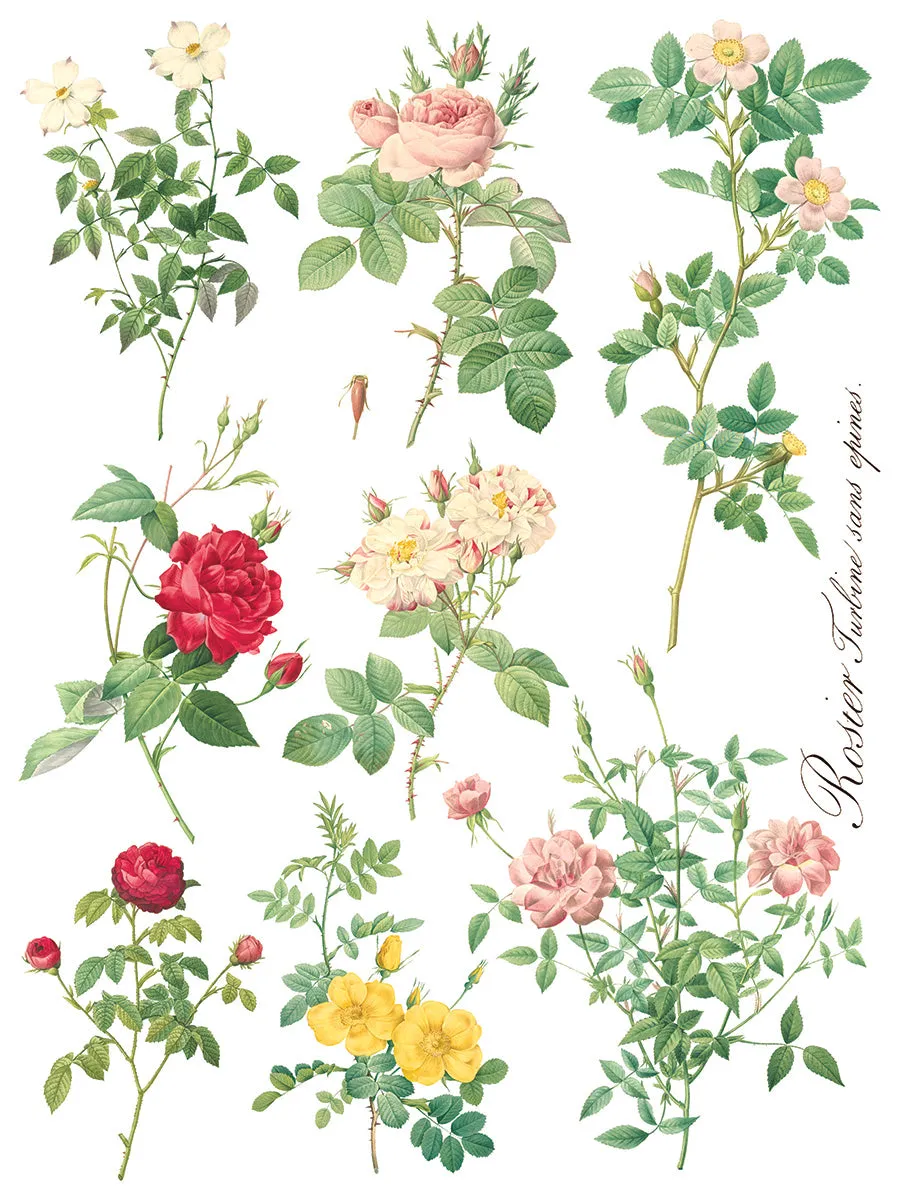 Rose Botanical Decor Transfer